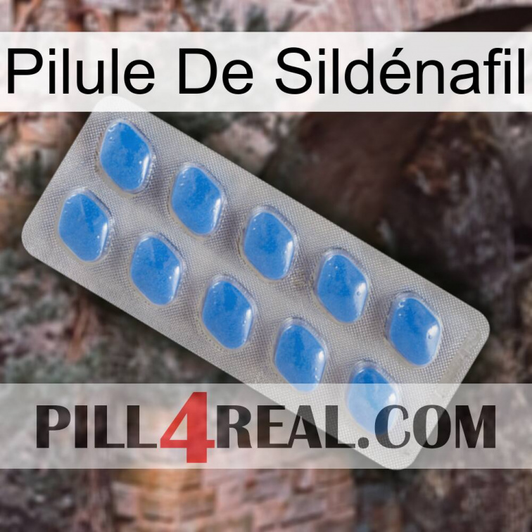 Pilule De Sildénafil 22